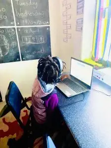 Kid on Laptop